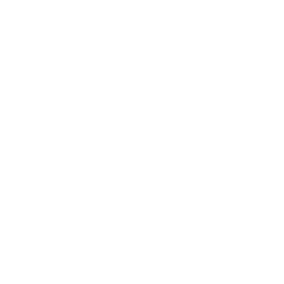 Officer